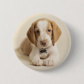 Beagle Puppy Button (Vorderseite)