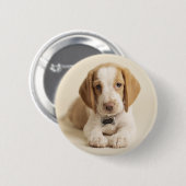 Beagle Puppy Button (Vorne & Hinten)