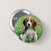 Beagle Puppy Button (Vorne & Hinten)
