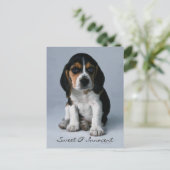 Beagle Puppy Dog Foto Postkarte (Stehend Vorderseite)