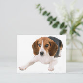 Beagle Puppy Dog Lee Hallo, Danke, Miss You Postkarte (Stehend Vorderseite)