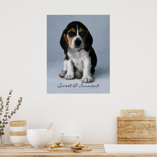 Beagle Puppy Dog Poster (Küche)