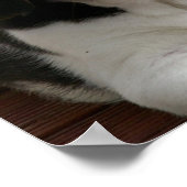 Beagle Puppy Doster drucken Poster (Ecke)