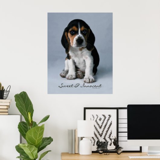 Beagle Puppy Doster Poster (Heimbüro)