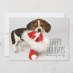 Beagle Puppy Feiertagskarte