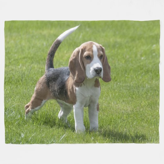 BEAGLE PUPPY FLEECEDECKE (Vorderseite (Horizontal))