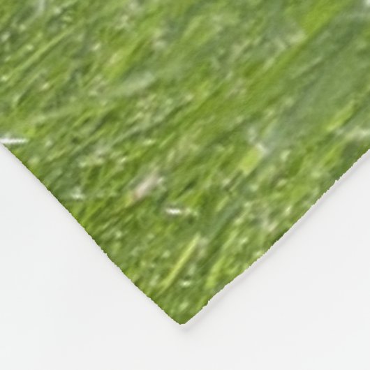 BEAGLE PUPPY FLEECEDECKE (Ecke)