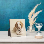 Beagle Puppy Fotoplatte (InSitu)