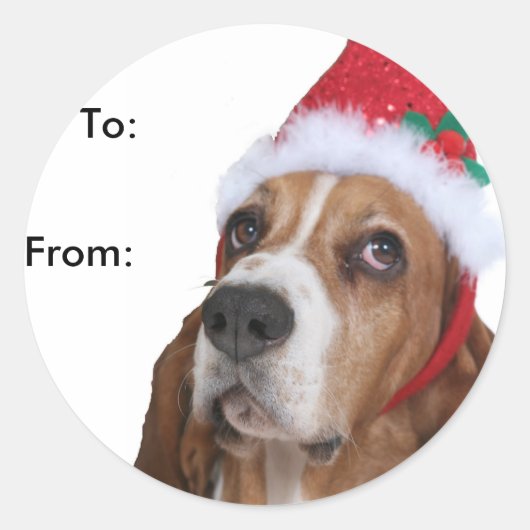 Beagle Puppy-Gift-Tags Runder Aufkleber (Vorderseite)