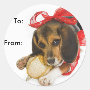 Beagle Puppy-Gift-Tags Runder Aufkleber