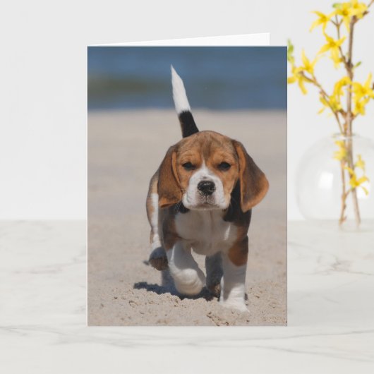Beagle Puppy Karte (Gelbe Blume)