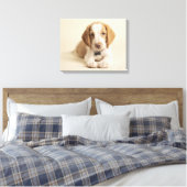 Beagle Puppy Leinwanddruck (Insitu (Schlafzimmer))