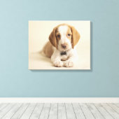 Beagle Puppy Leinwanddruck (Insitu (Holzboden))