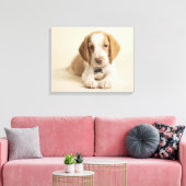 Beagle Puppy Leinwanddruck (Insitu (Wohnzimmer))