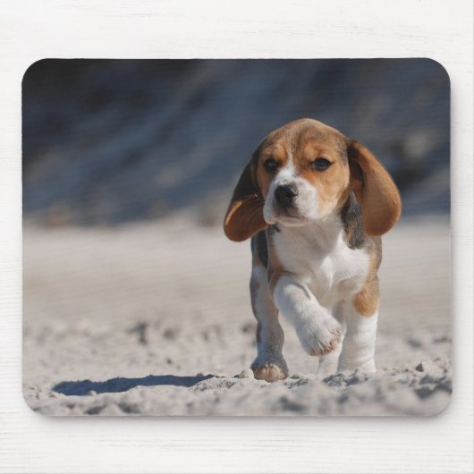 Beagle Puppy Mousepad (Vorne)