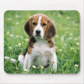 Beagle Puppy Mousepad (Vorne)