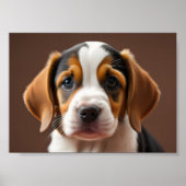 Beagle Puppy Poster (Vorne)