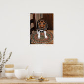 Beagle Puppy Poster (Küche)