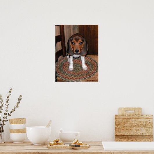 Beagle Puppy Poster (Küche)