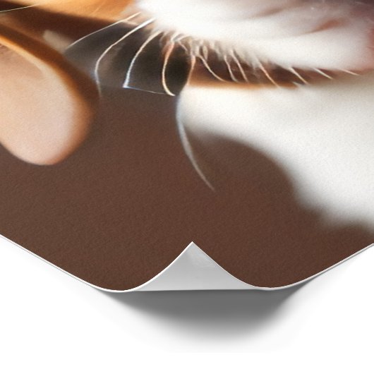 Beagle Puppy Poster (Ecke)