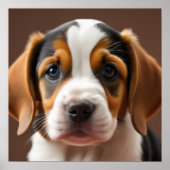 Beagle Puppy Poster (Vorne)