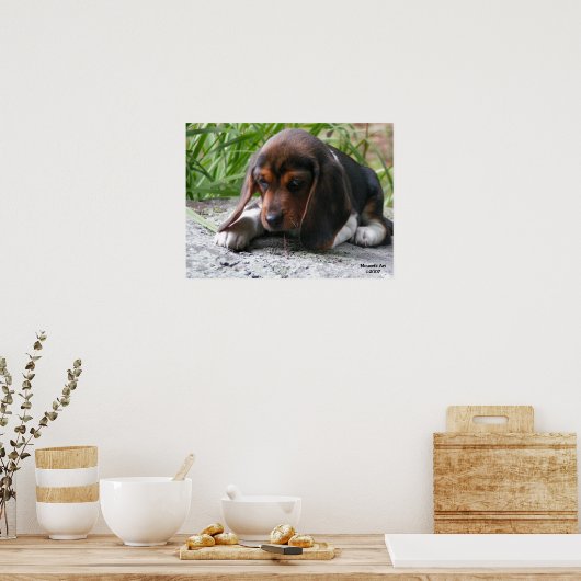 Beagle Puppy Poster (Küche)