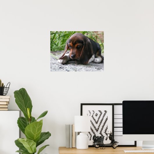 Beagle Puppy Poster (Heimbüro)