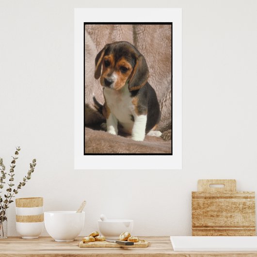 Beagle Puppy Poster (Küche)