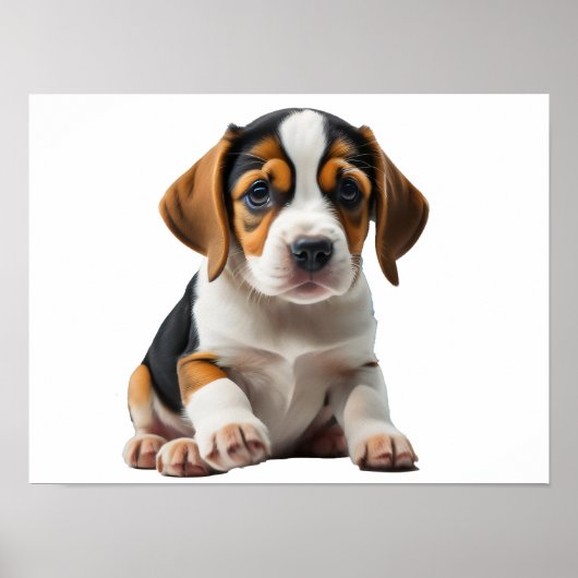 Beagle Puppy Poster (Vorne)