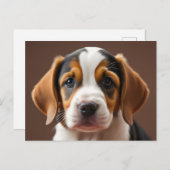 Beagle Puppy Postkarte (Vorne/Hinten)