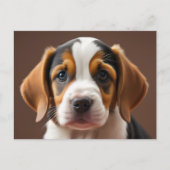 Beagle Puppy Postkarte (Vorderseite)