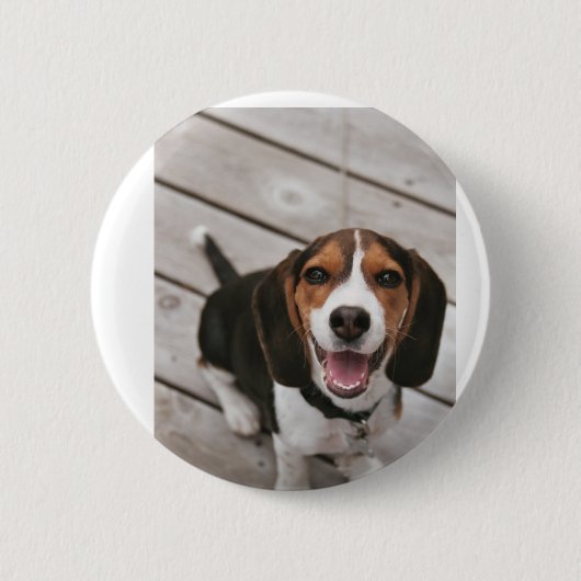 Beagle-Puppy-Sitting Button (Vorderseite)