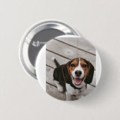 Beagle-Puppy-Sitting Button (Vorne & Hinten)