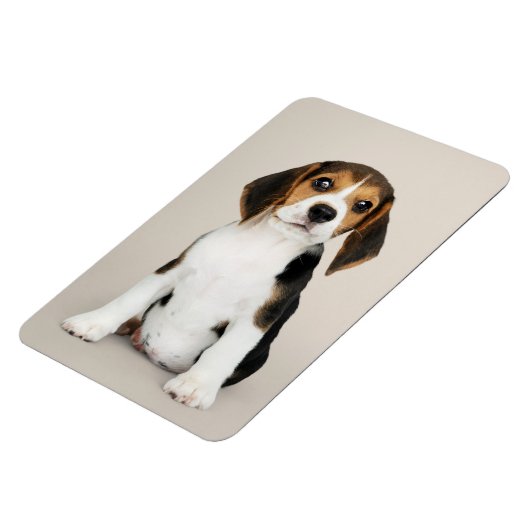 Beagle Puppy, so Niedlich Magnet (Linke Seite)