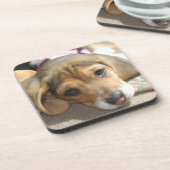 Beagle Puppy Untersetzer (Linke Seite)