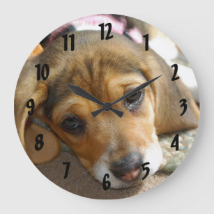 Beagle Puppy Wall Clock Große Wanduhr