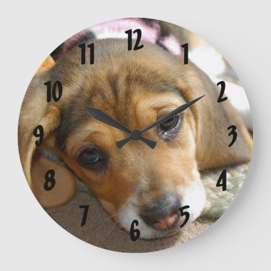 Beagle Puppy Wall Clock Große Wanduhr (Vorderseite)