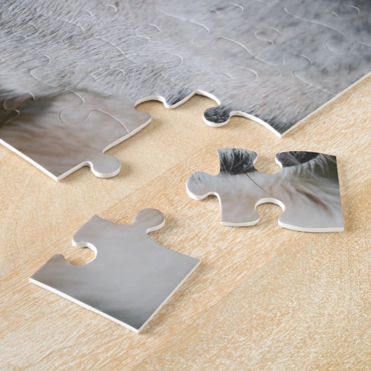 Beagle Puzzle (Seite)