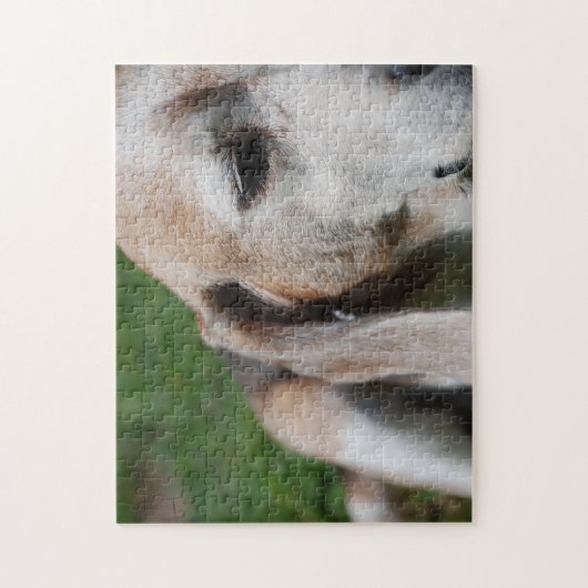 Beagle Puzzle (Vertikal)