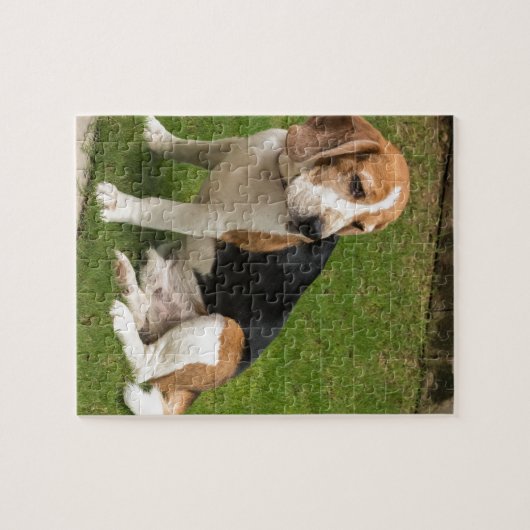 Beagle Puzzle (Horizontal)