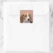 Beagle Quadratischer Aufkleber (Tasche)