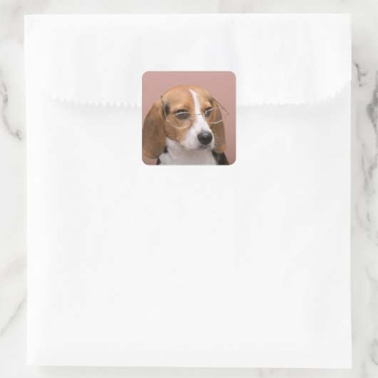 Beagle Quadratischer Aufkleber (Tasche)