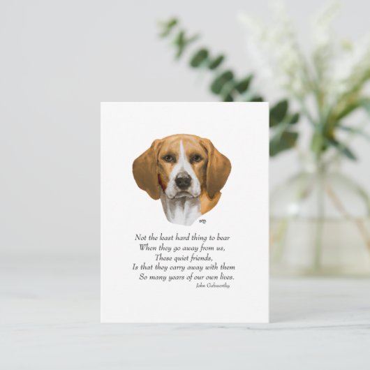 Beagle Rainbow Bridge Postkarte (Stehend Vorderseite)