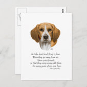 Beagle Rainbow Bridge Postkarte (Vorne/Hinten)