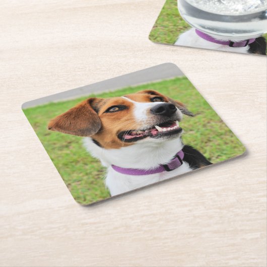 Beagle Rechteckiger Pappuntersetzer (angewinkelt)