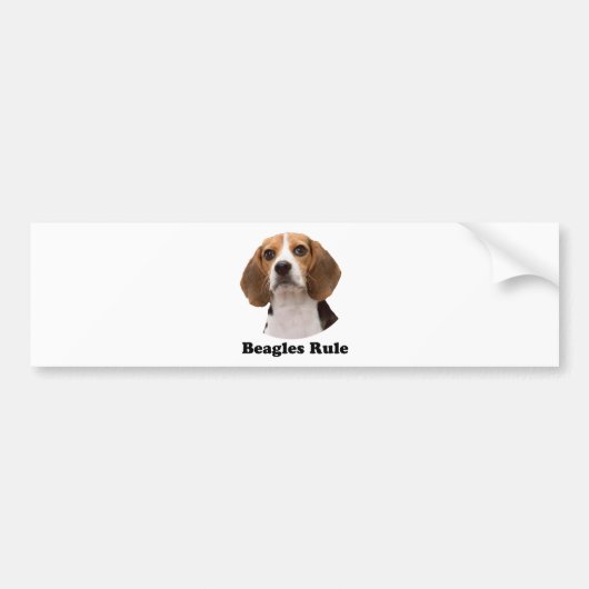 Beagle-Regel Autoaufkleber (Vorne)