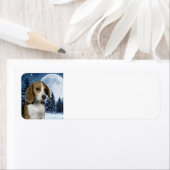 Beagle-Rücksendeadresse (Insitu)