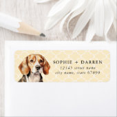 Beagle Rücksendeadressen-Aufkleber (Insitu)