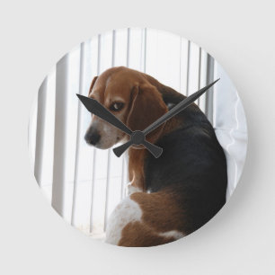 Beagle Runde Wanduhr