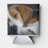 Beagle schlafend.png dosenkühler (Vorderseite)